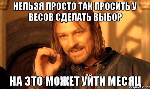 нельзя просто так просить у весов сделать выбор на это может уйти месяц, Мем Нельзя просто так взять и (Боромир мем)