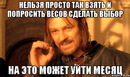 нельзя просто так взять и попросить весов сделать выбор на это может уйти месяц, Мем Нельзя просто так взять и (Боромир мем)