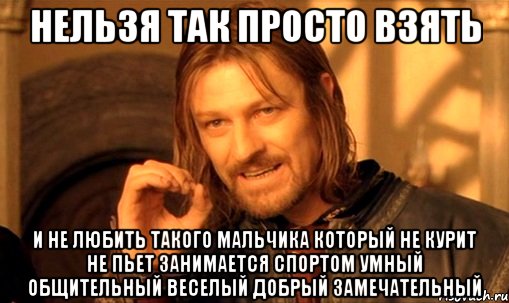 нельзя так просто взять и не любить такого мальчика который не курит не пьет занимается спортом умный общительный веселый добрый замечательный, Мем Нельзя просто так взять и (Боромир мем)