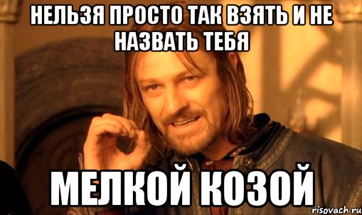 нельзя просто так взять и не назвать тебя мелкой козой, Мем Нельзя просто так взять и (Боромир мем)