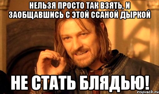 нельзя просто так взять, и заобщавшись с этой ссаной дыркой не стать блядью!, Мем Нельзя просто так взять и (Боромир мем)