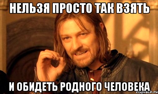 нельзя просто так взять и обидеть родного человека, Мем Нельзя просто так взять и (Боромир мем)