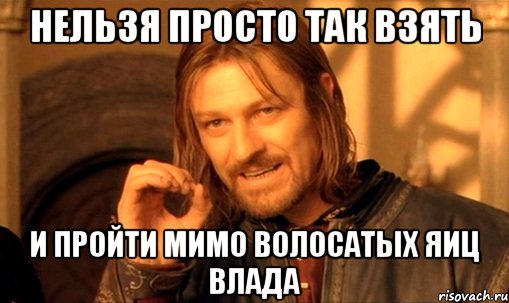 нельзя просто так взять и пройти мимо волосатых яиц влада, Мем Нельзя просто так взять и (Боромир мем)