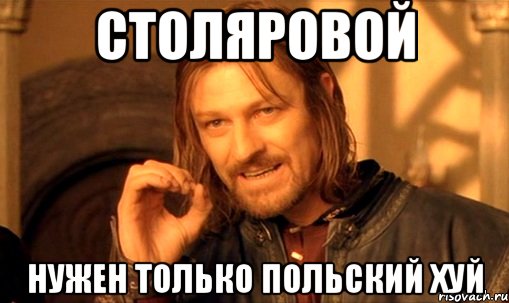 столяровой нужен только польский хуй, Мем Нельзя просто так взять и (Боромир мем)