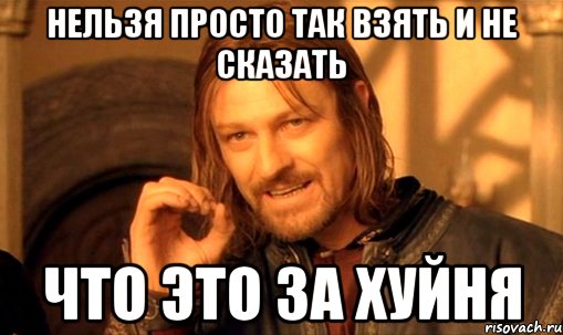 нельзя просто так взять и не сказать что это за хуйня, Мем Нельзя просто так взять и (Боромир мем)