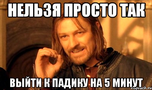 нельзя просто так выйти к падику на 5 минут, Мем Нельзя просто так взять и (Боромир мем)