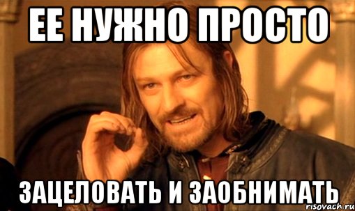 ее нужно просто зацеловать и заобнимать, Мем Нельзя просто так взять и (Боромир мем)