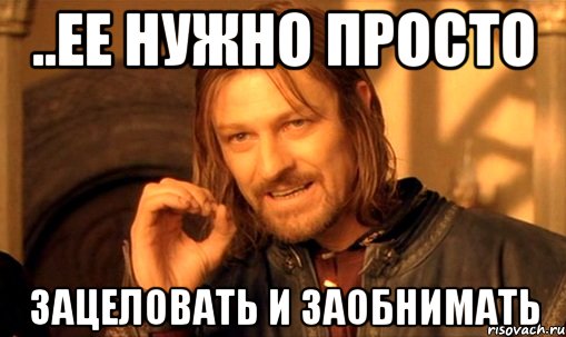 ..ее нужно просто зацеловать и заобнимать, Мем Нельзя просто так взять и (Боромир мем)