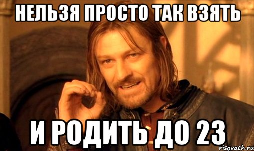 нельзя просто так взять и родить до 23, Мем Нельзя просто так взять и (Боромир мем)