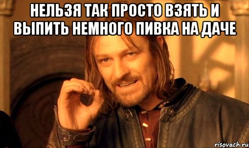 нельзя так просто взять и выпить немного пивка на даче , Мем Нельзя просто так взять и (Боромир мем)