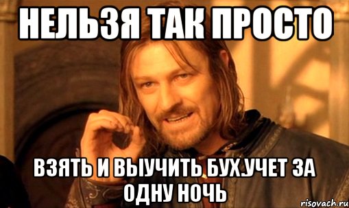 нельзя так просто взять и выучить бух.учет за одну ночь, Мем Нельзя просто так взять и (Боромир мем)