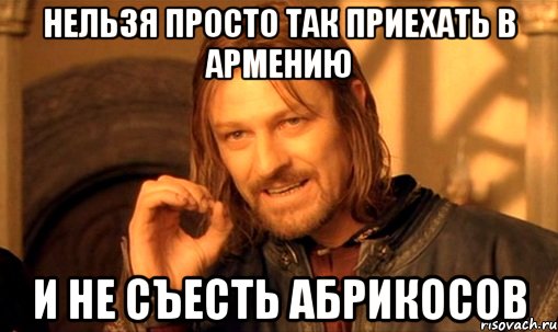 нельзя просто так приехать в армению и не съесть абрикосов, Мем Нельзя просто так взять и (Боромир мем)