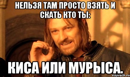 нельзя там просто взять и скать кто ты: киса или мурыса., Мем Нельзя просто так взять и (Боромир мем)