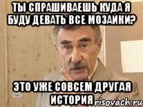 ты спрашиваешь куда я буду девать все мозайки? это уже совсем другая история, Мем Каневский (Но это уже совсем другая история)