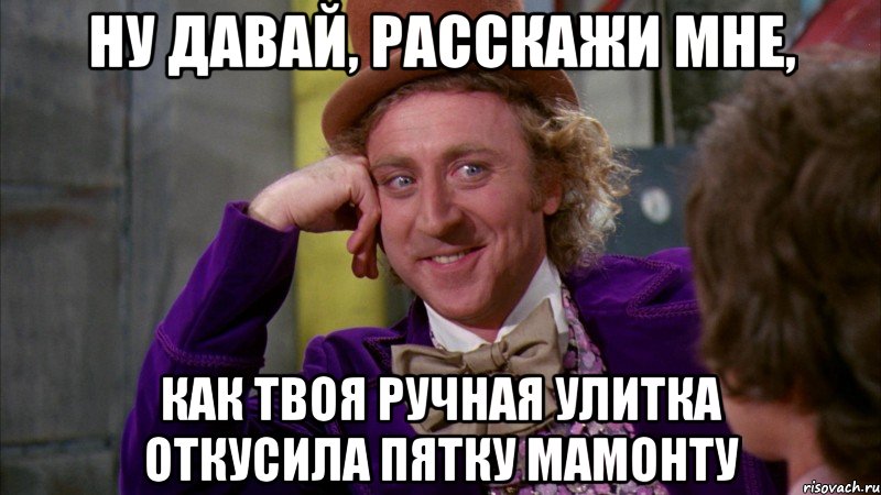 ну давай, расскажи мне, как твоя ручная улитка откусила пятку мамонту, Мем Ну давай расскажи (Вилли Вонка)