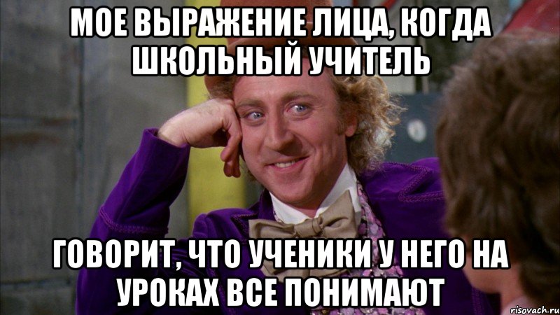 мое выражение лица, когда школьный учитель говорит, что ученики у него на уроках все понимают, Мем Ну давай расскажи (Вилли Вонка)