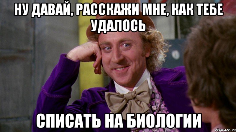 ну давай, расскажи мне, как тебе удалось списать на биологии, Мем Ну давай расскажи (Вилли Вонка)