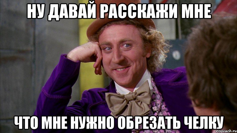 ну давай расскажи мне что мне нужно обрезать челку, Мем Ну давай расскажи (Вилли Вонка)