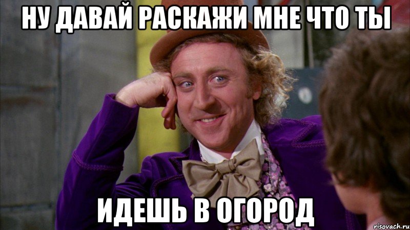 ну давай раскажи мне что ты идешь в огород, Мем Ну давай расскажи (Вилли Вонка)