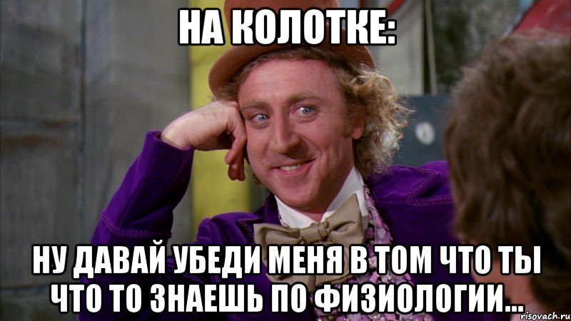 на колотке: ну давай убеди меня в том что ты что то знаешь по физиологии..., Мем Ну давай расскажи (Вилли Вонка)