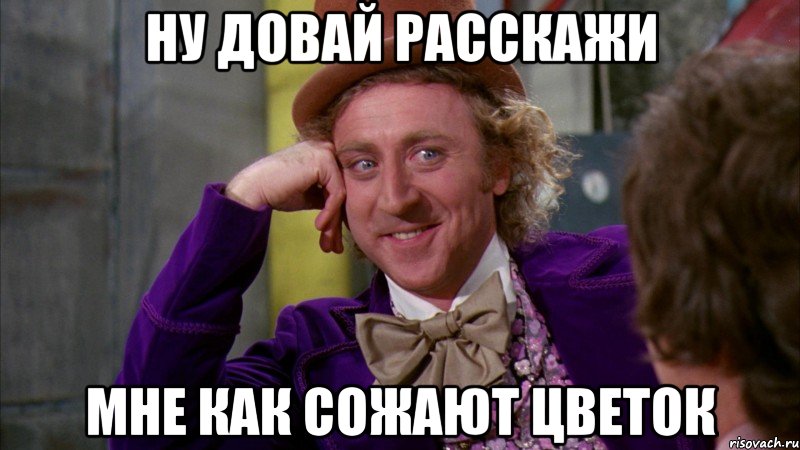 ну довай расскажи мне как сожают цветок, Мем Ну давай расскажи (Вилли Вонка)