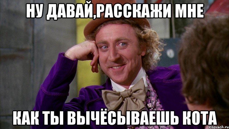 ну давай,расскажи мне как ты вычёсываешь кота, Мем Ну давай расскажи (Вилли Вонка)