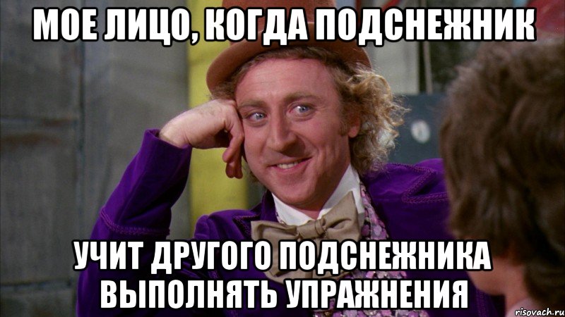 мое лицо, когда подснежник учит другого подснежника выполнять упражнения, Мем Ну давай расскажи (Вилли Вонка)