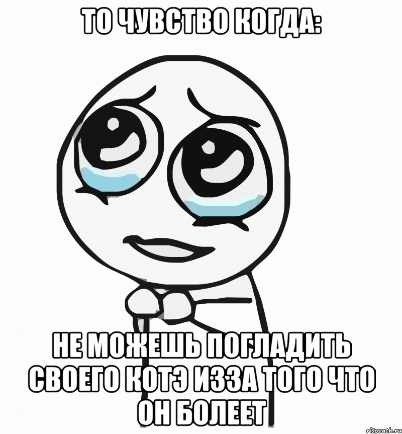 то чувство когда: не можешь погладить своего котэ изза того что он болеет, Мем  ну пожалуйста (please)