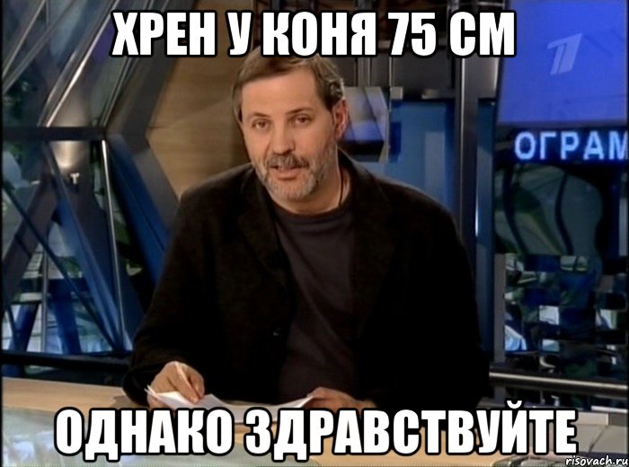 хрен у коня 75 см однако здравствуйте, Мем Однако Здравствуйте