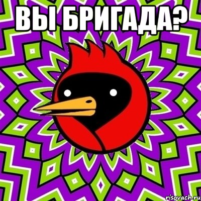 вы бригада? , Мем Омская птица