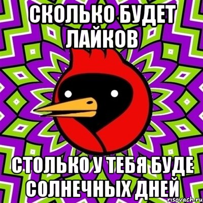 сколько будет лайков столько у тебя буде солнечных дней, Мем Омская птица