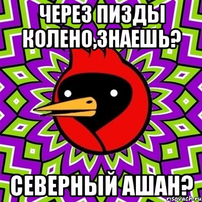 через пизды колено,знаешь? северный ашан?, Мем Омская птица