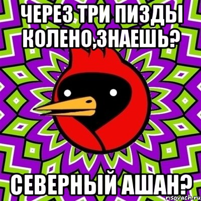 через три пизды колено,знаешь? северный ашан?, Мем Омская птица