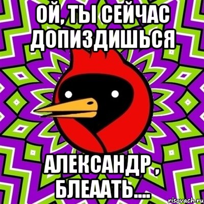 ой, ты сейчас допиздишься александр , блеаать...., Мем Омская птица