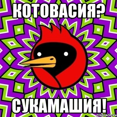 котовасия? сукамашия!, Мем Омская птица