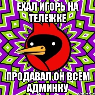 ехал игорь на тележке продавал он всем админку, Мем Омская птица