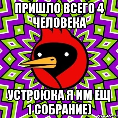 пришло всего 4 человека устроюка я им ещ 1 собрание), Мем Омская птица