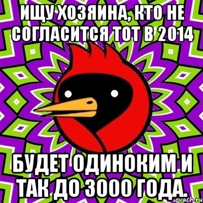 ищу хозяина, кто не согласится тот в 2014 будет одиноким и так до 3000 года., Мем Омская птица