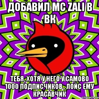 добавил mc zali в вк тебя, хотя у него у самово 1000 подписчиков , лойс ему красавчик, Мем Омская птица