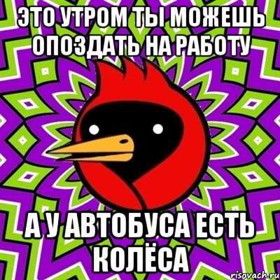 это утром ты можешь опоздать на работу а у автобуса есть колёса, Мем Омская птица