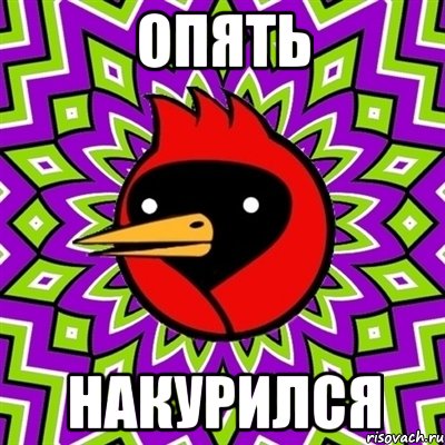 опять накурился, Мем Омская птица