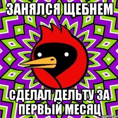 занялся щебнем сделал дельту за первый месяц, Мем Омская птица