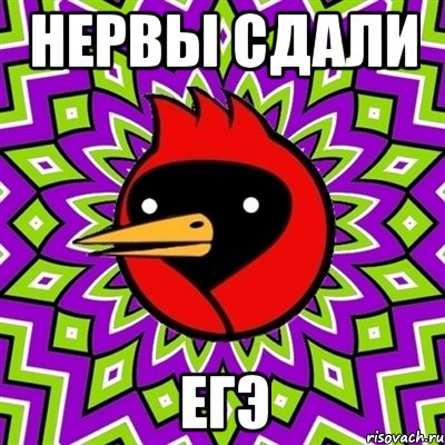 нервы сдали егэ, Мем Омская птица