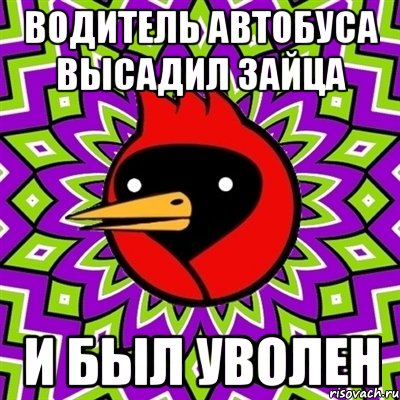 водитель автобуса высадил зайца и был уволен, Мем Омская птица