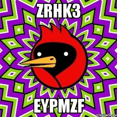 zrhk3 eypmzf, Мем Омская птица