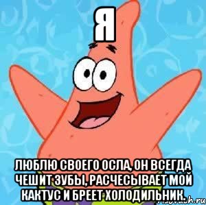 я люблю своего осла, он всегда чешит зубы, расчесывает мой кактус и бреет холодильник., Мем Патрик