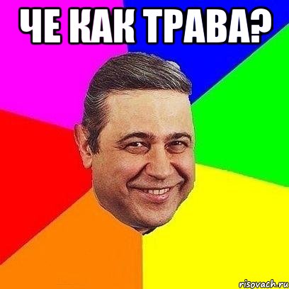 че как трава? 