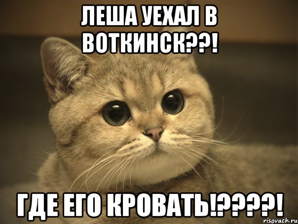 леша уехал в воткинск??! где его кровать!???!, Мем Пидрила ебаная котик