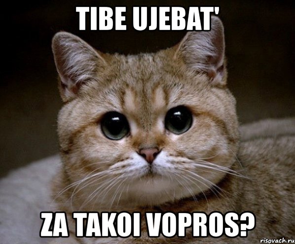 tibe ujebat' za takoi vopros?, Мем Пидрила Ебаная