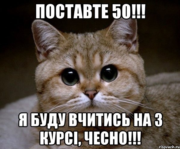 поставте 50!!! я буду вчитись на 3 курсі, чесно!!!, Мем Пидрила Ебаная